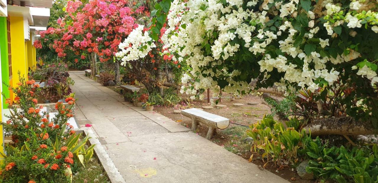 푸에르토프린세사 Balai Felicisima B&B 외부 사진